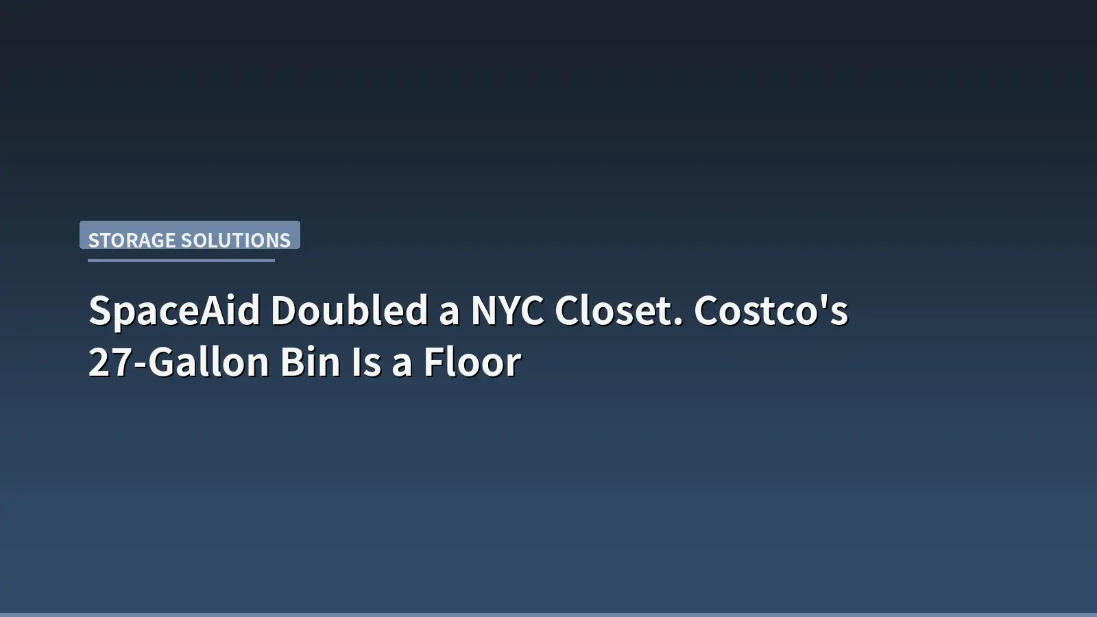 SpaceAid Doubled a NYC Closet. Costco's 27-Gallon Bin Is a Floor